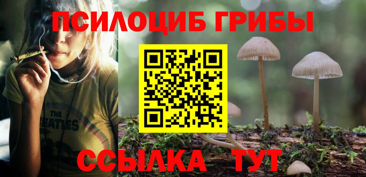 Дмитров  Галлюциногенные грибы Magic Shrooms  Вход с VPN  продажа наркотиков  Псилоцибиновые грибы ЛСД 